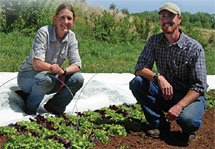 A man and woman crouch in a farm bed.