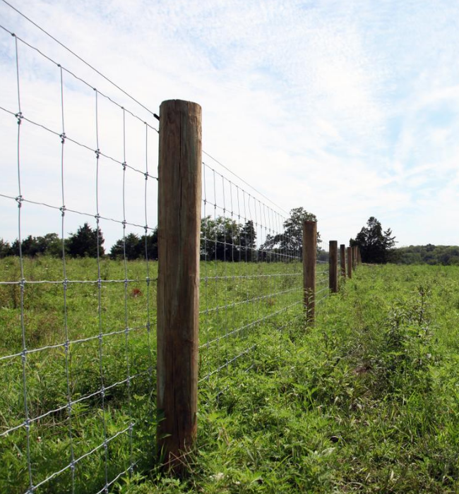 Fenced in at Roundabout Meadows