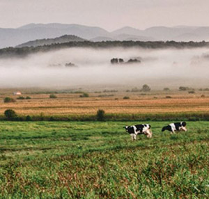 On the Ground Conservation – Spring 2013