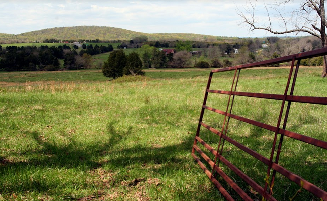 The fence to Roundabout Meadows Farm.