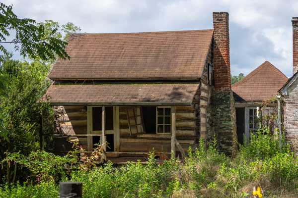front of an old log cabin surrounded by tall green plants