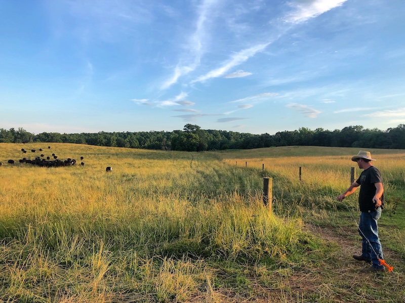 In the foreground, a farmer adjusts an electric fence while in the background cows graze.