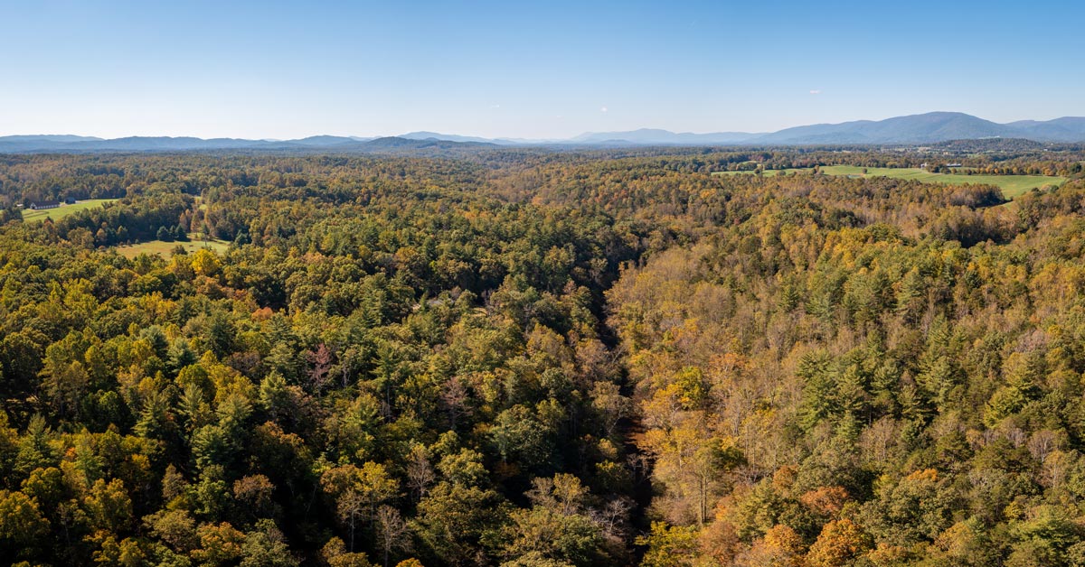 aerial photo looking out over forest with fall foliage and mountains in distance