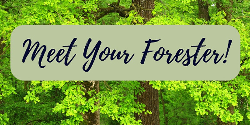 "meet your forester!" text overlayed on a image of forest canopy