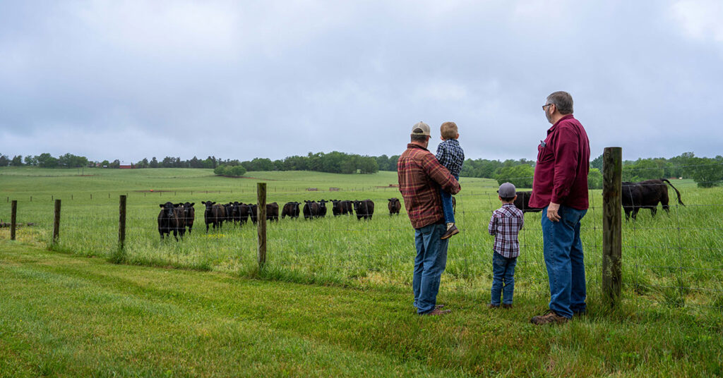 a grandpa, son and two small kids looking out over a green field with cows