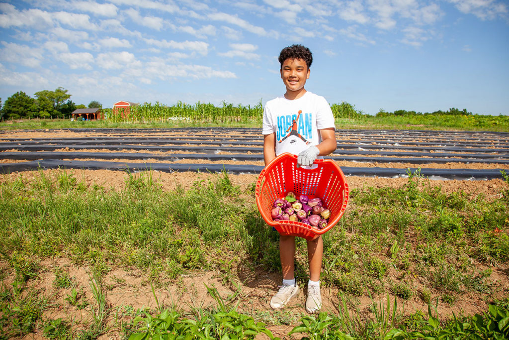 Summer on the Farm