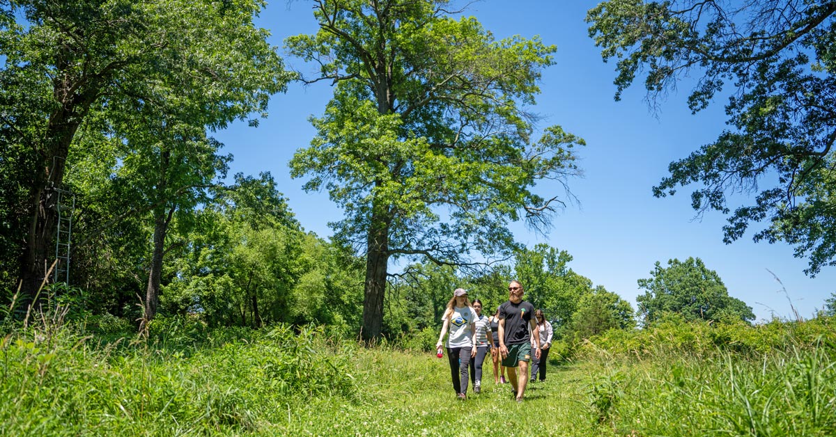 group of people walking on trail in meadow surrounded by trees