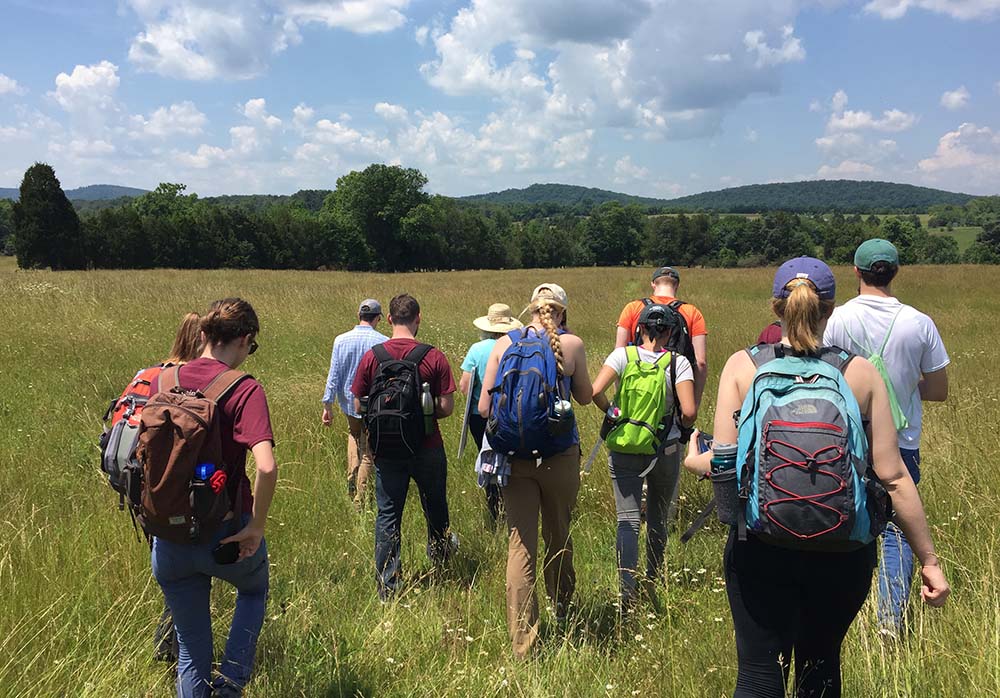 On the Ground — December 2017 Update