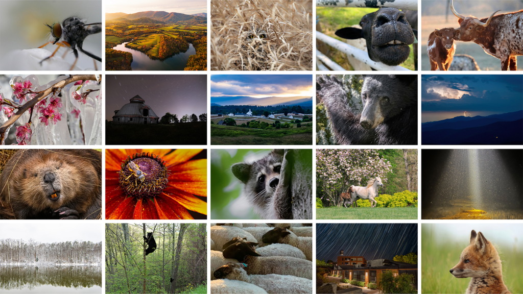 collage of 20 images of the outdoors