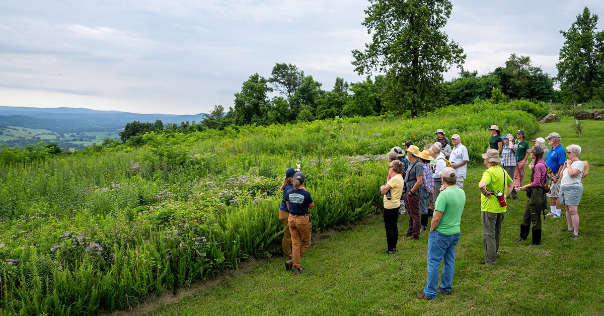Group observing nature in meadow.