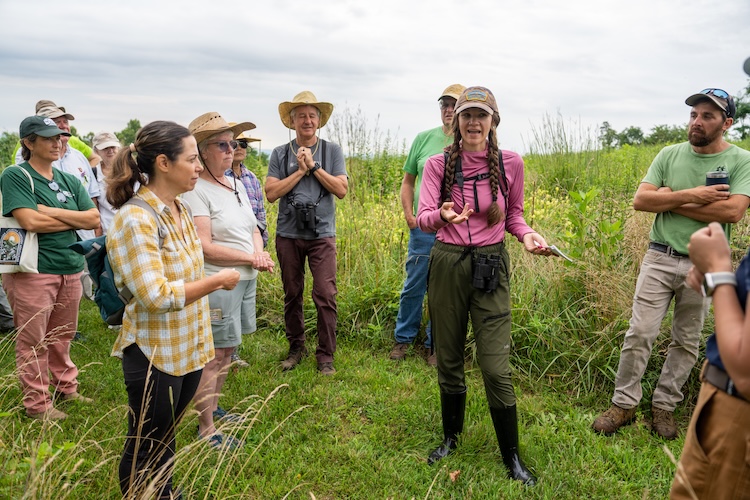 A group stands in a meadow listening to a presenter talk.