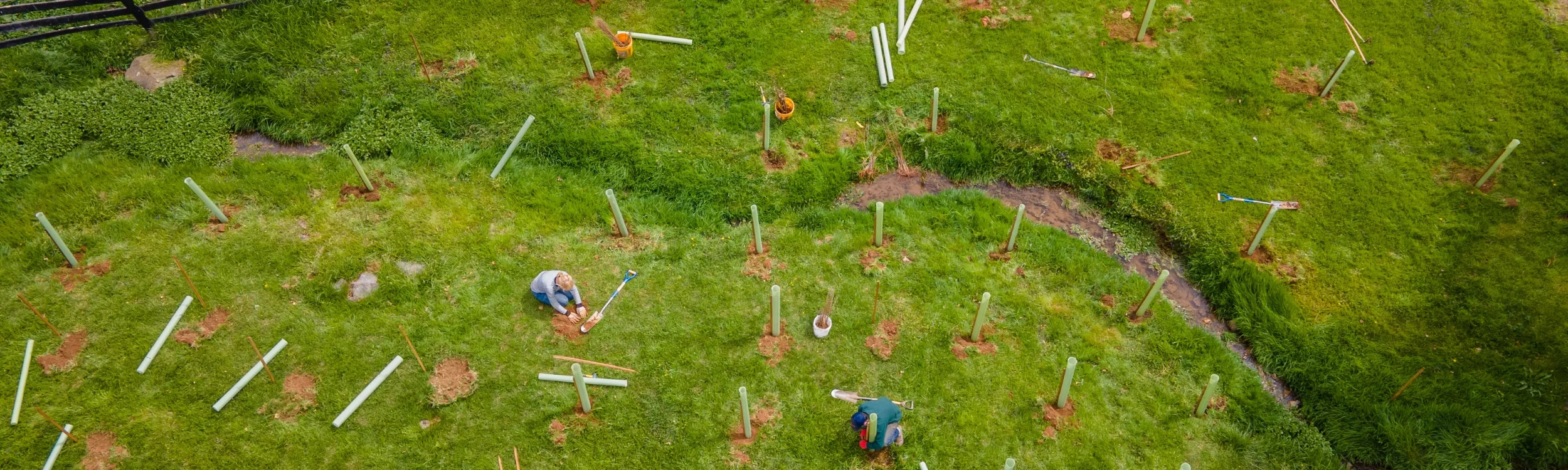 aerial of volunteers planting trees along a stream