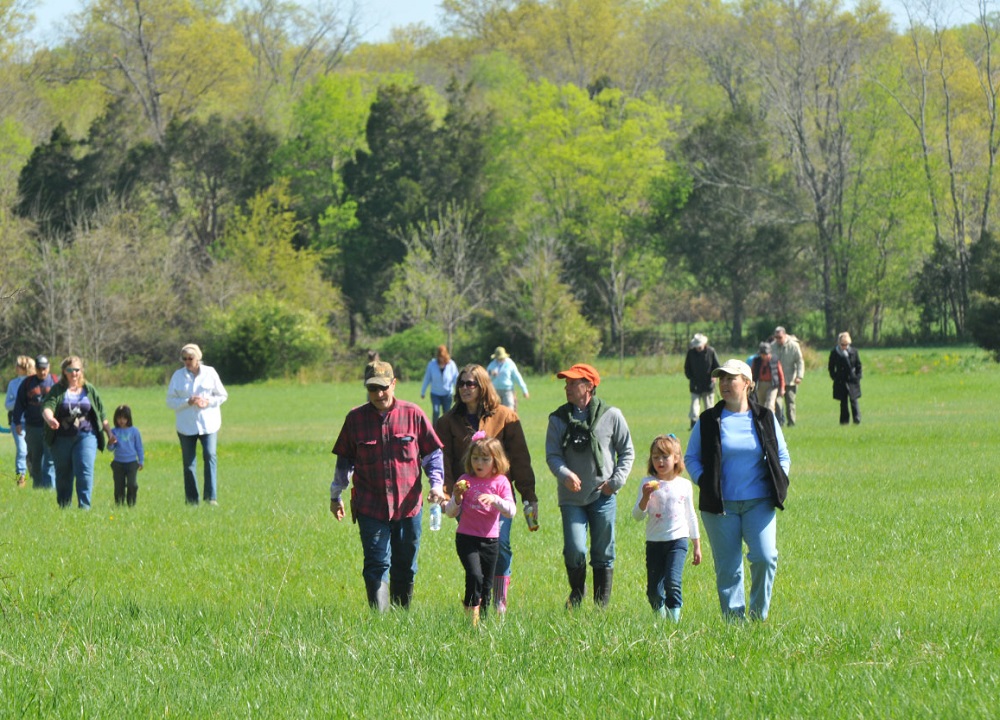 people walking in a field