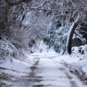 A snowy rural road.