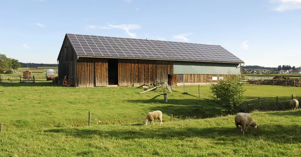 Solar on the Farm: Improving Your Ag Operation with On-Site Energy