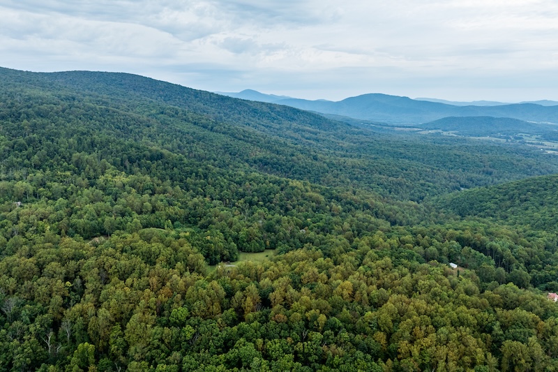 Lush green forested mountain landscape.