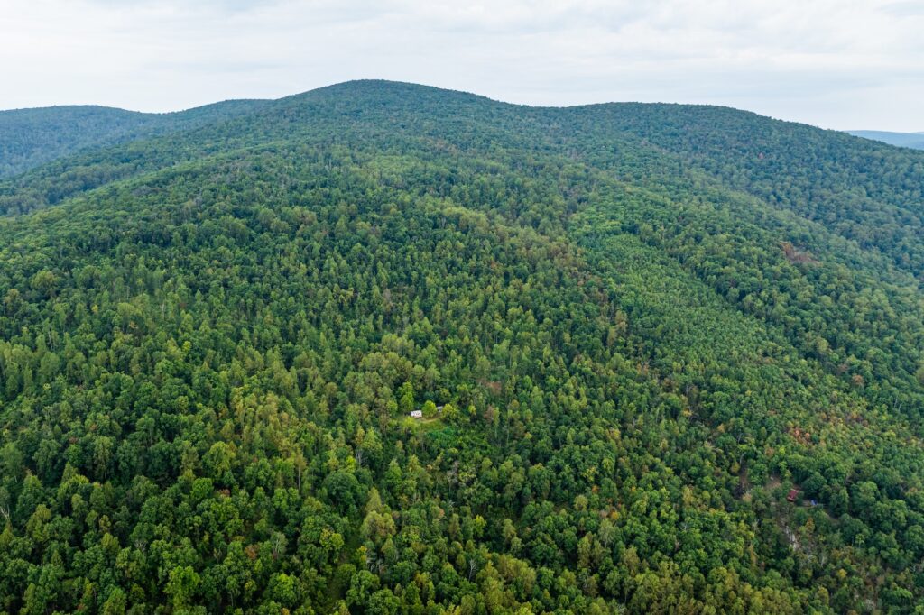 Rolling green mountains covered in forest, with one little tiny dot of a cottage in the middle.