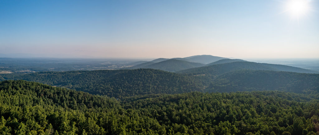 Briefing Paper: Resources for Climate Action Planning in Albemarle County