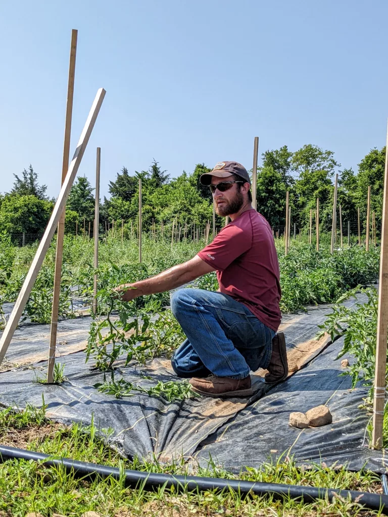 Farming for the Future