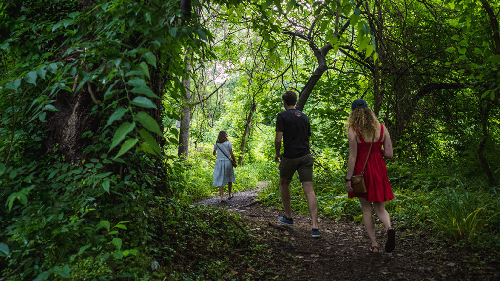 three people hike on an overgrown forested trail
