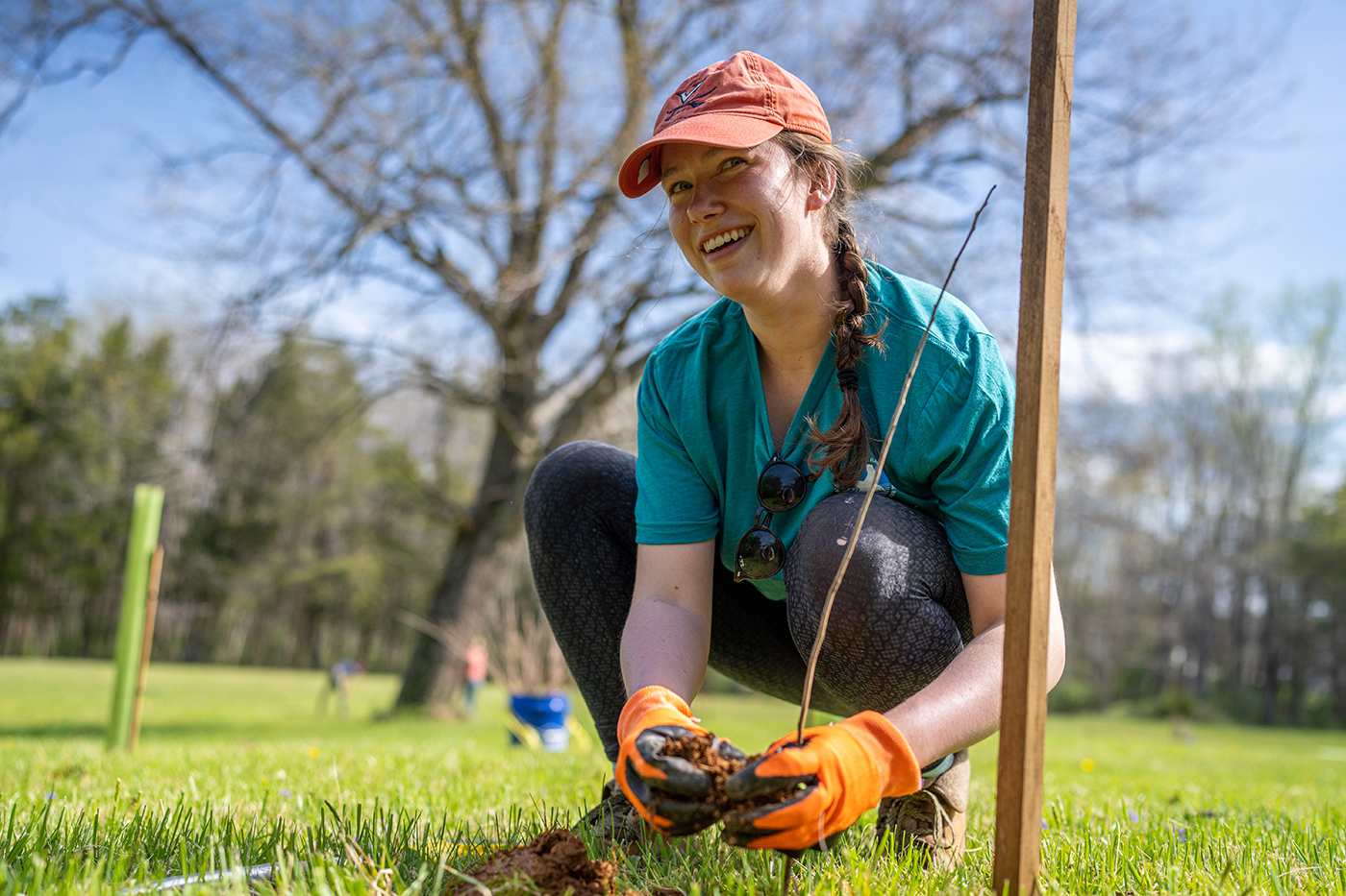 a woman plants a tree