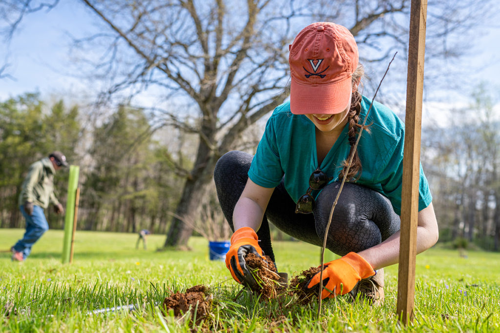 Fall 2022 Tree Planting Opportunities