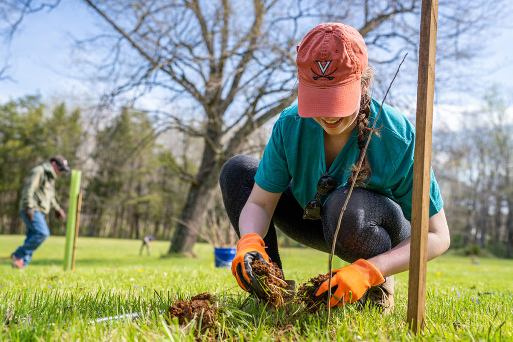 a young woman plants a tree sapling in dirt