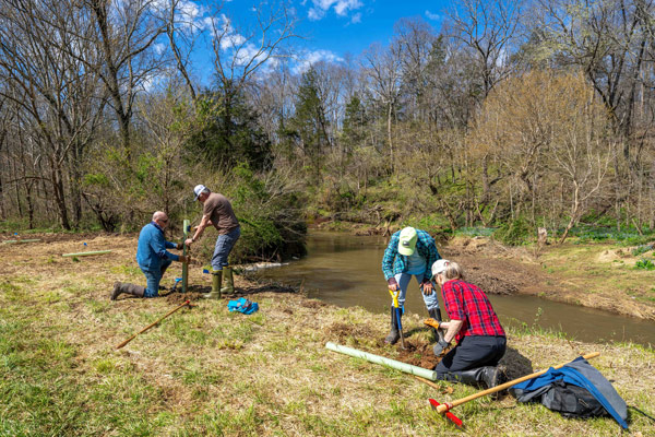 four people planting trees in the ground next to a river