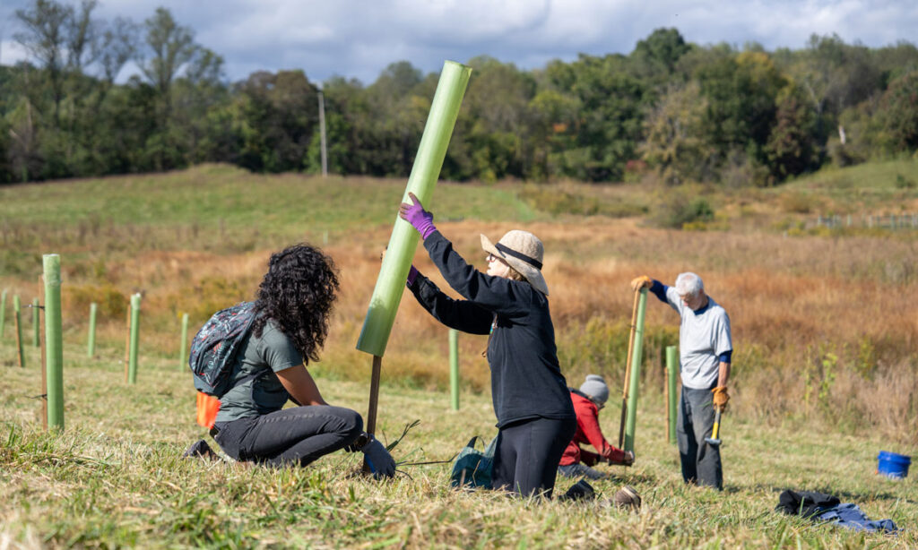 Spring Tree Planting in Hume