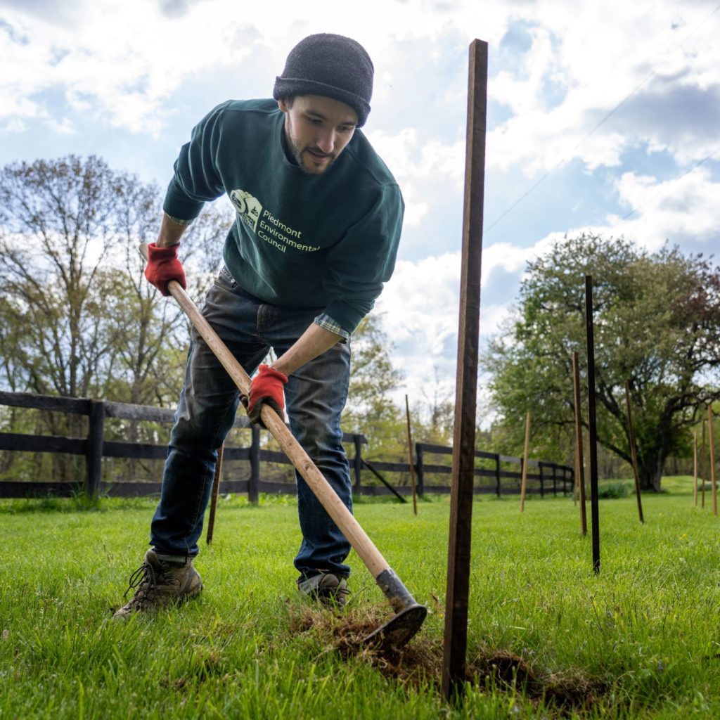 Video: Meadows Farm Tree Planting