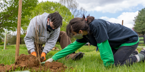 two volunteers plant a tree in a grassy field